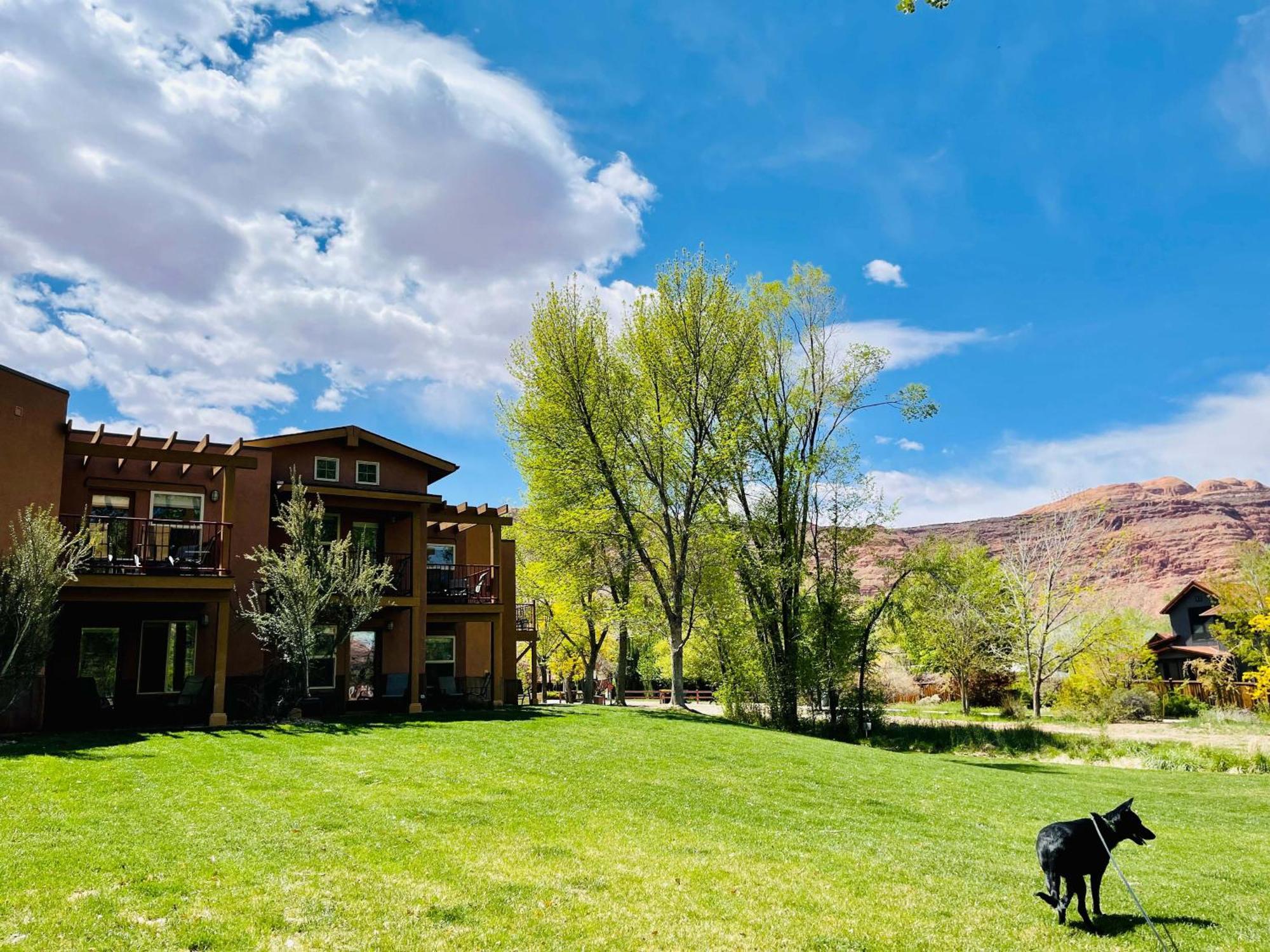 The Gonzo Inn Moab Exteriér fotografie
